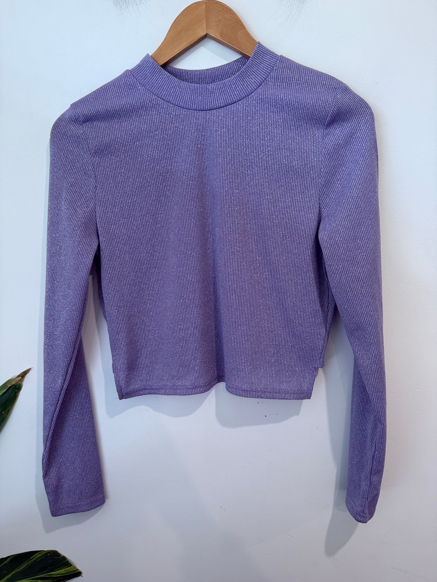 Mirrou Size 14 Sparkle Ribbed Crop Top