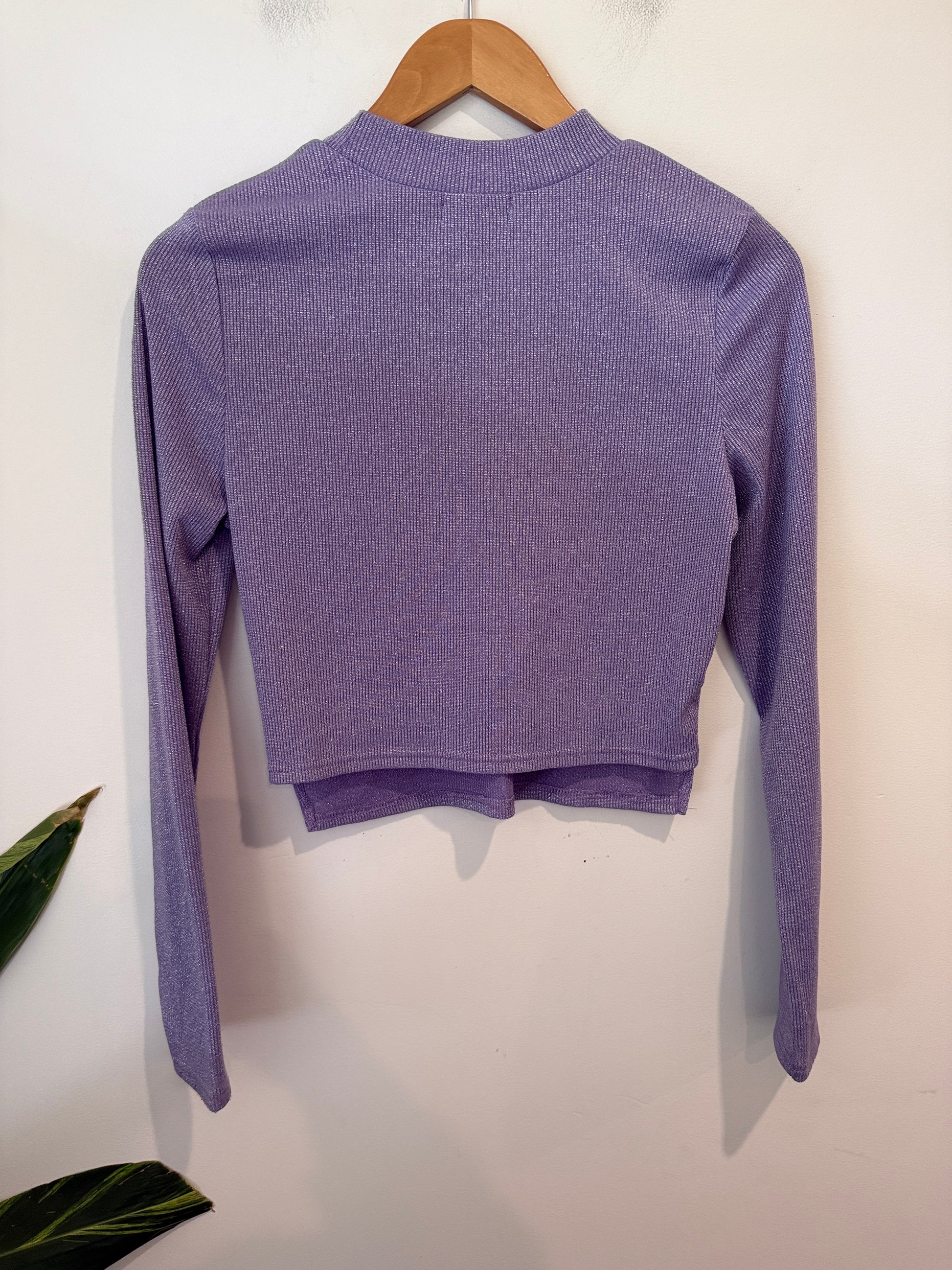 Mirrou Size 14 Sparkle Ribbed Crop Top