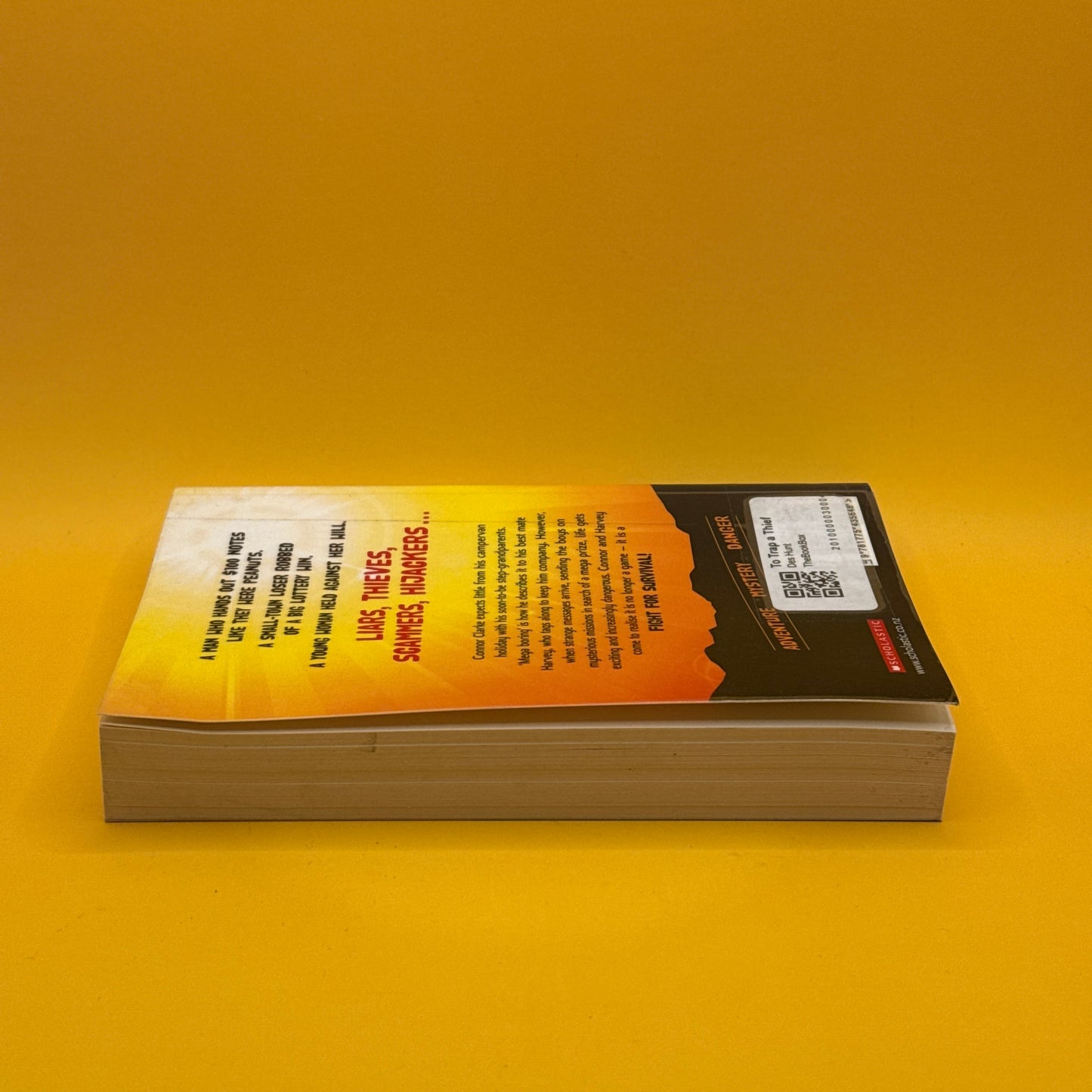 A Trap for a Thief by Des Hunt