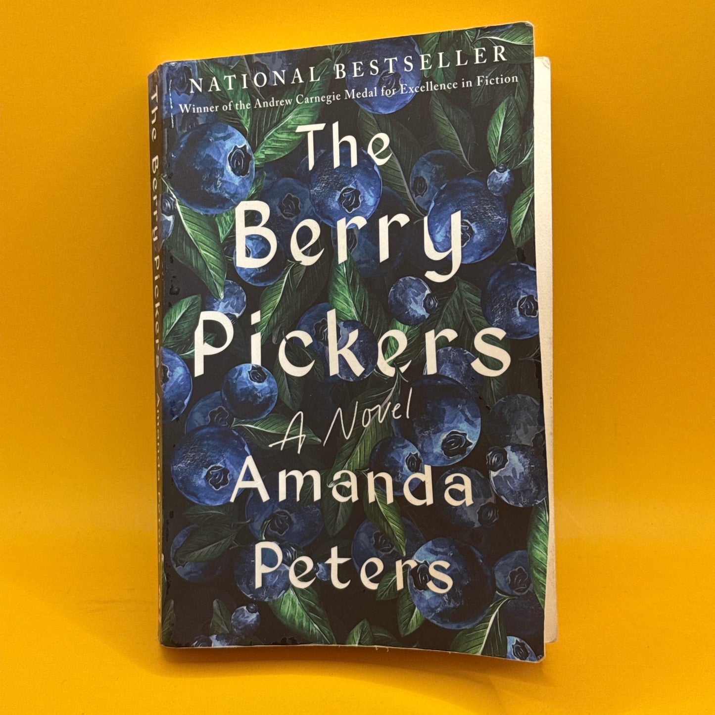 The Berry Pickers by Amanda Peters