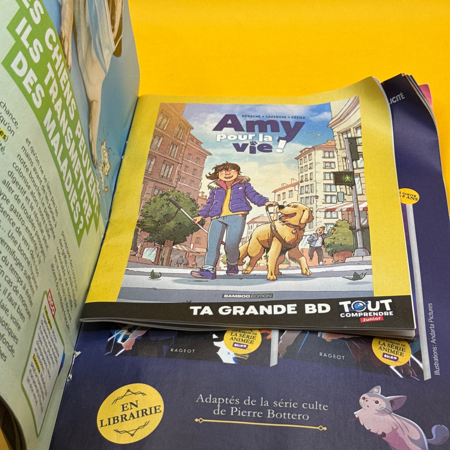 Tout Comprendre Junior No. 156 April 2026 by (French)