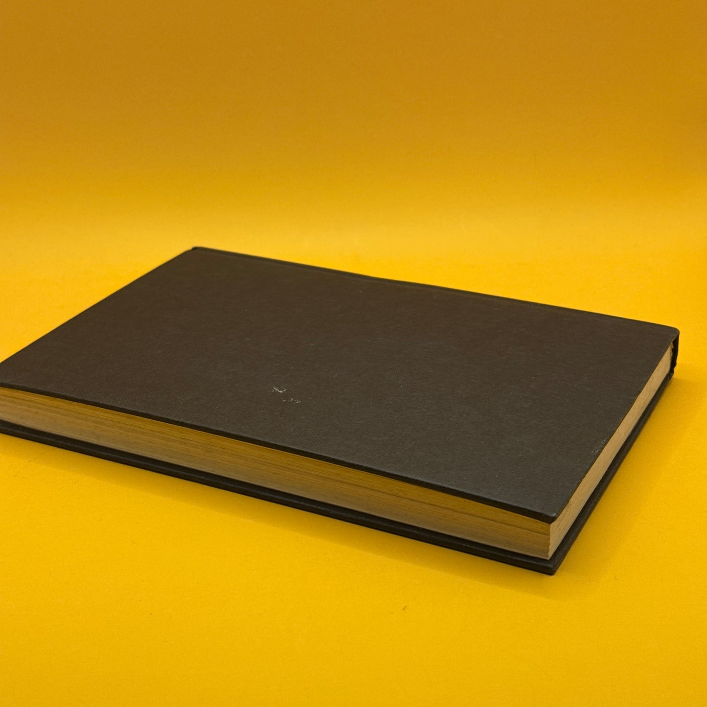 Sole Survivor by Maurice Gee (First US Edition)