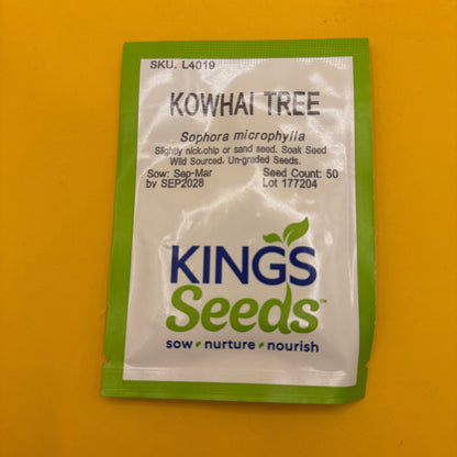 Kings Seeds Kowhai Tree Seeds 50 Pack