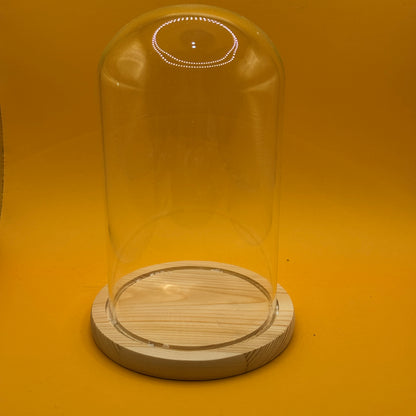 Clear Glass Display Cloche with Wooden Base