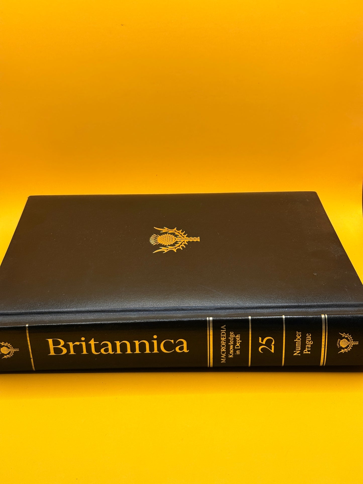 The New Encyclopaedia Britannica Macropaedia Volume 25: Number–Prague by Encyclopaedia Britannica