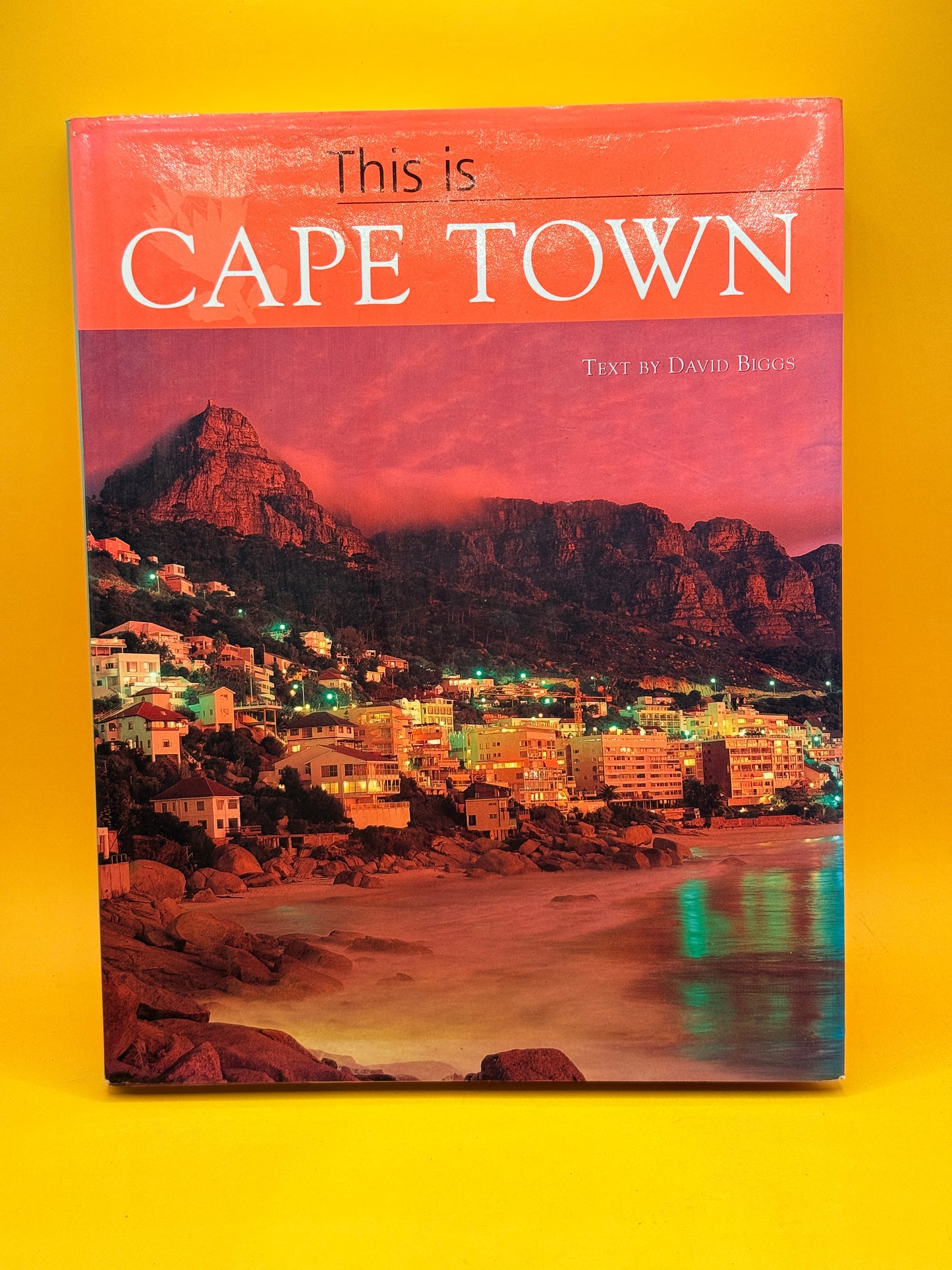 This Is Cape Town by David Biggs and Erhardt Thiel