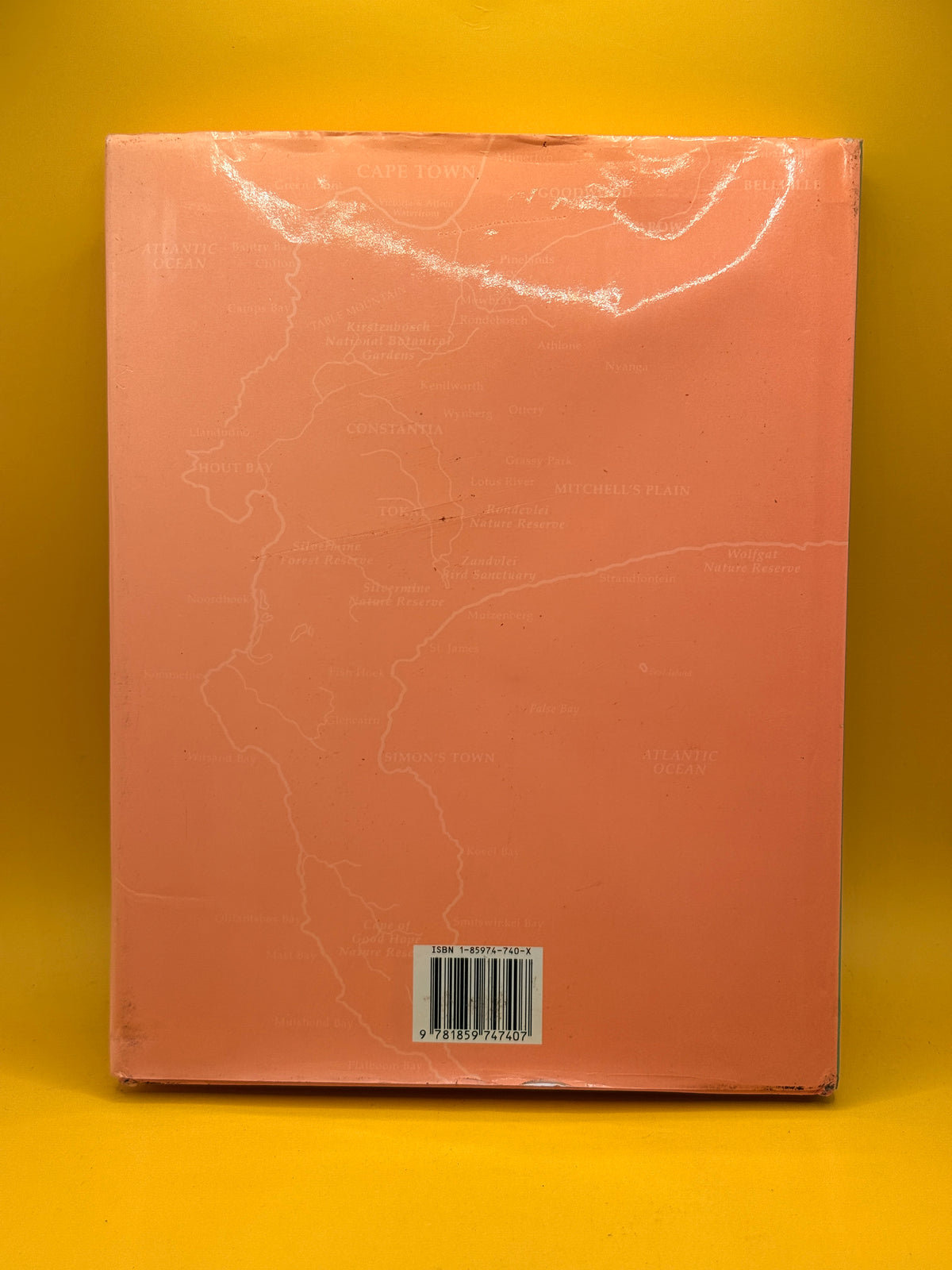 This Is Cape Town by David Biggs and Erhardt Thiel