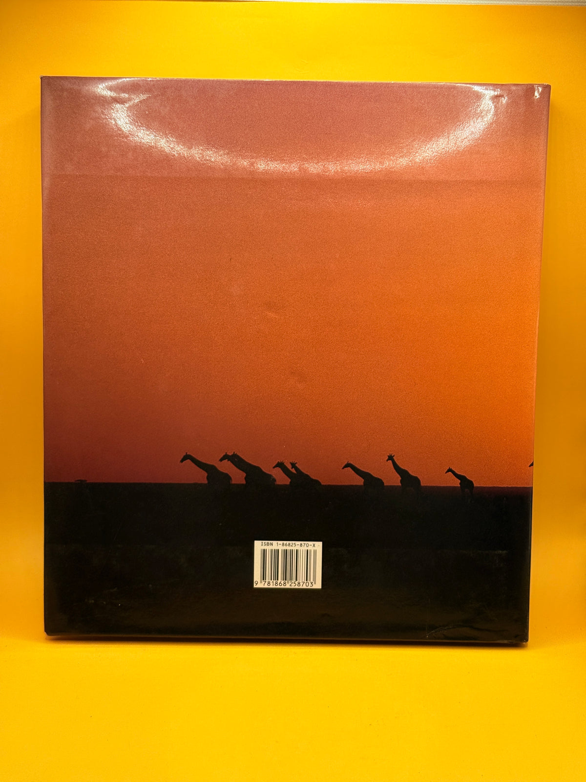 South Africa the Beautiful: Celebrating the Land by Brian Johnson Barker