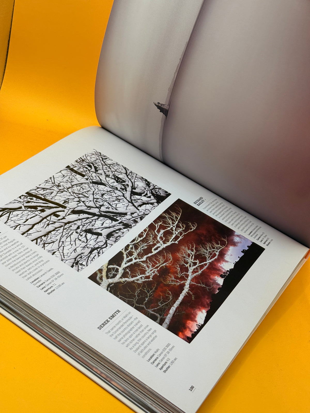 Southern Exposure: A Year in New Zealand by New Zealanders by James Frankham and New Zealand Geographic