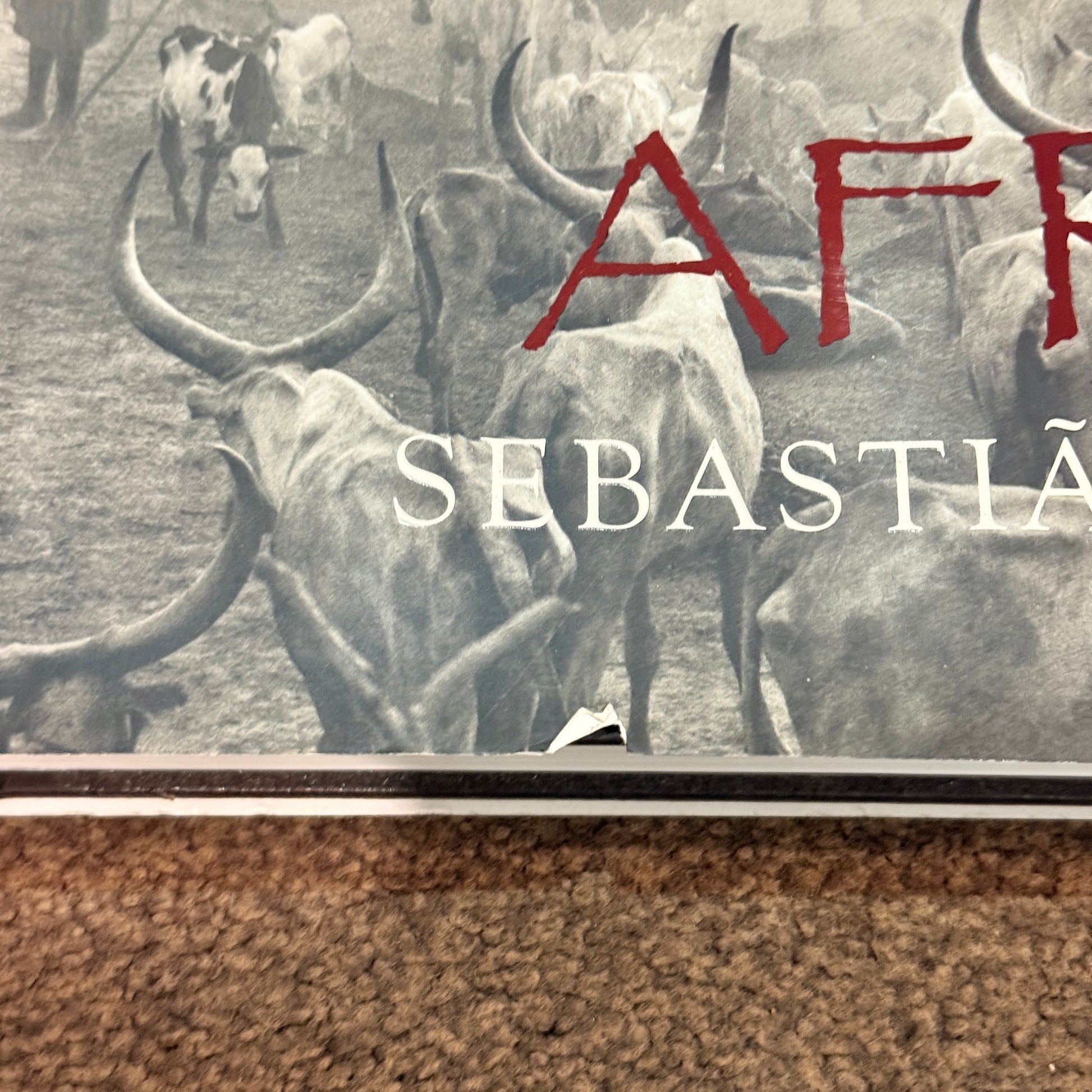 Africa by Sebastião Salgado