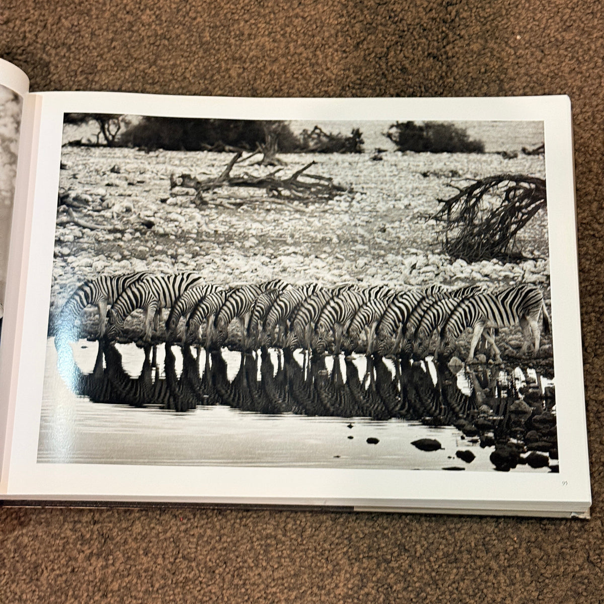 Africa by Sebastião Salgado