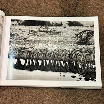 Africa by Sebastião Salgado