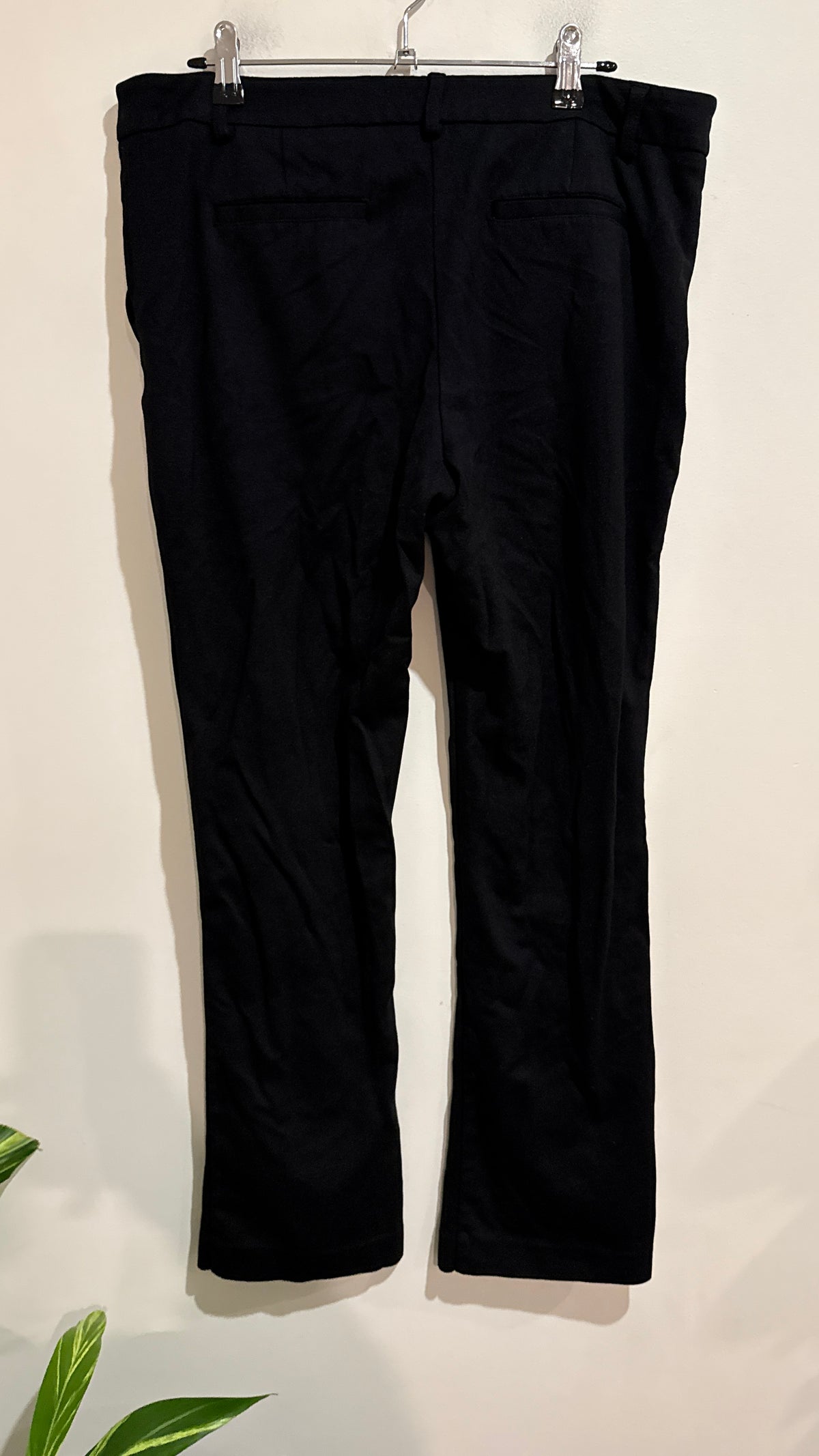Jacqui E Size 14-16 Black Bootcut Pull On Pants