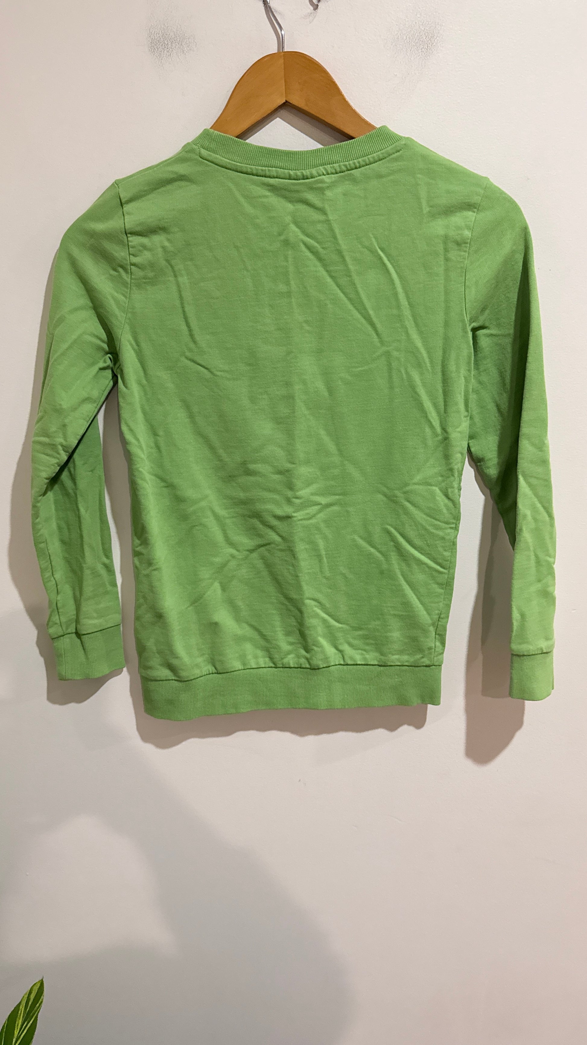 Minecraft Green Long Sleeve Tee Size 7-9