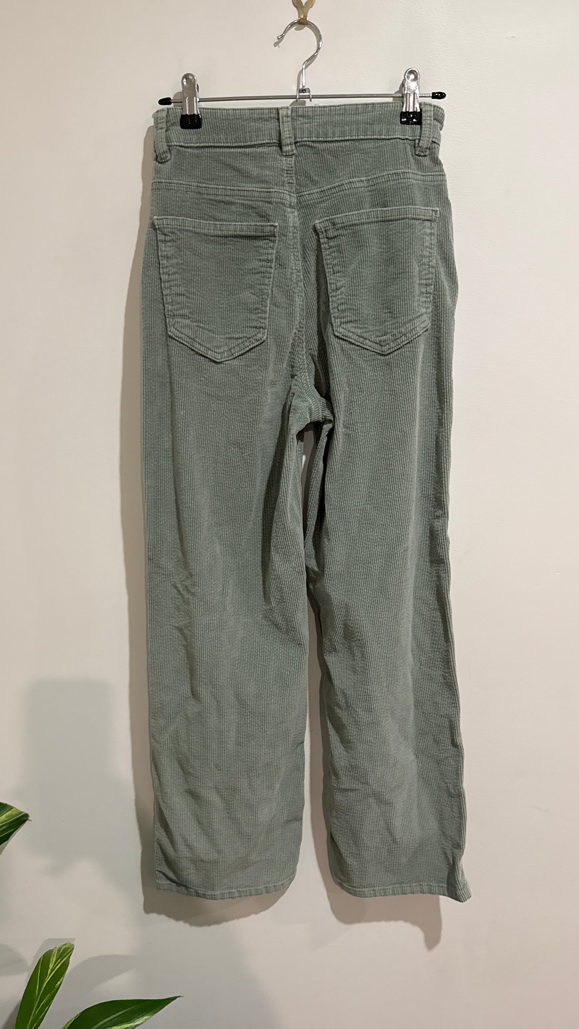 Glassons Sage Corduroy Pants - Size 6