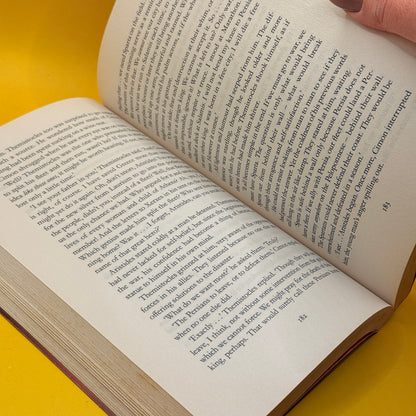 Protector by Conn Iggulden