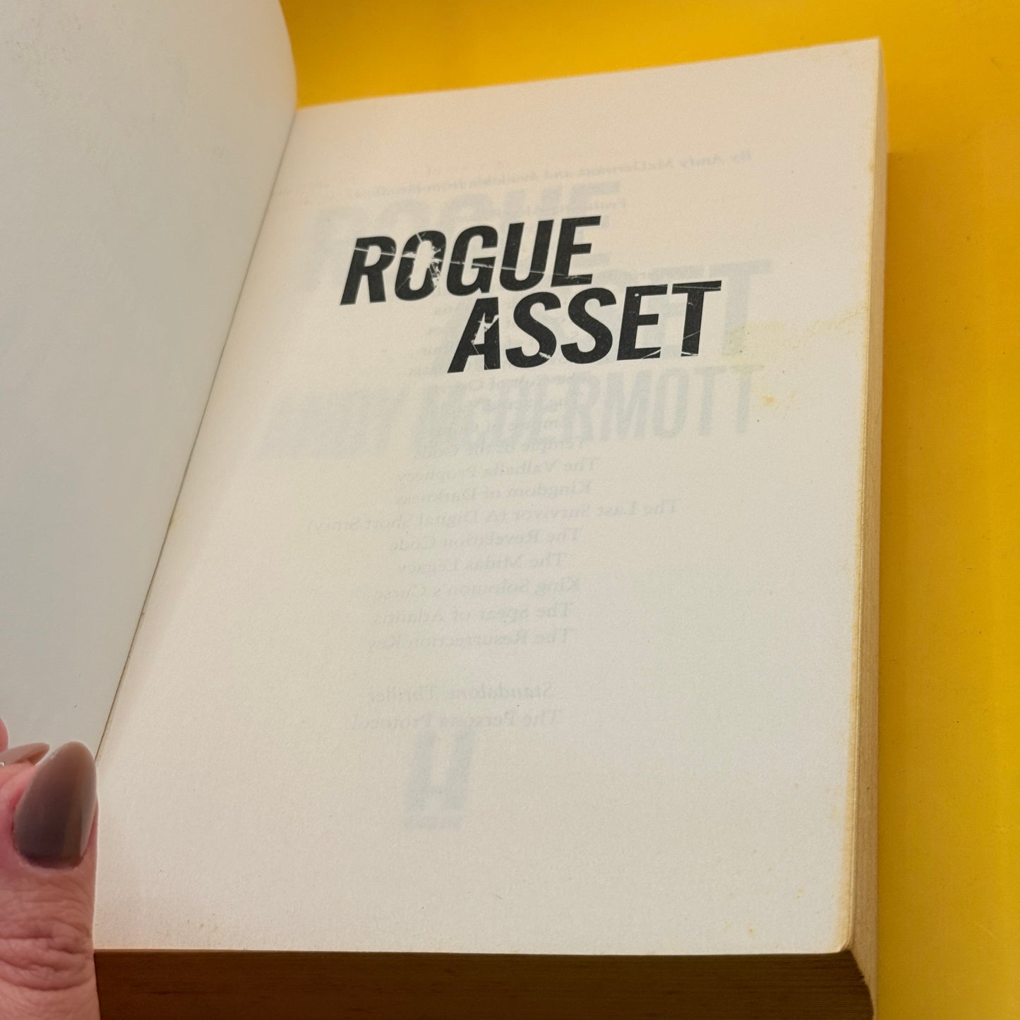 Rogue Asset by Andy McDermott
