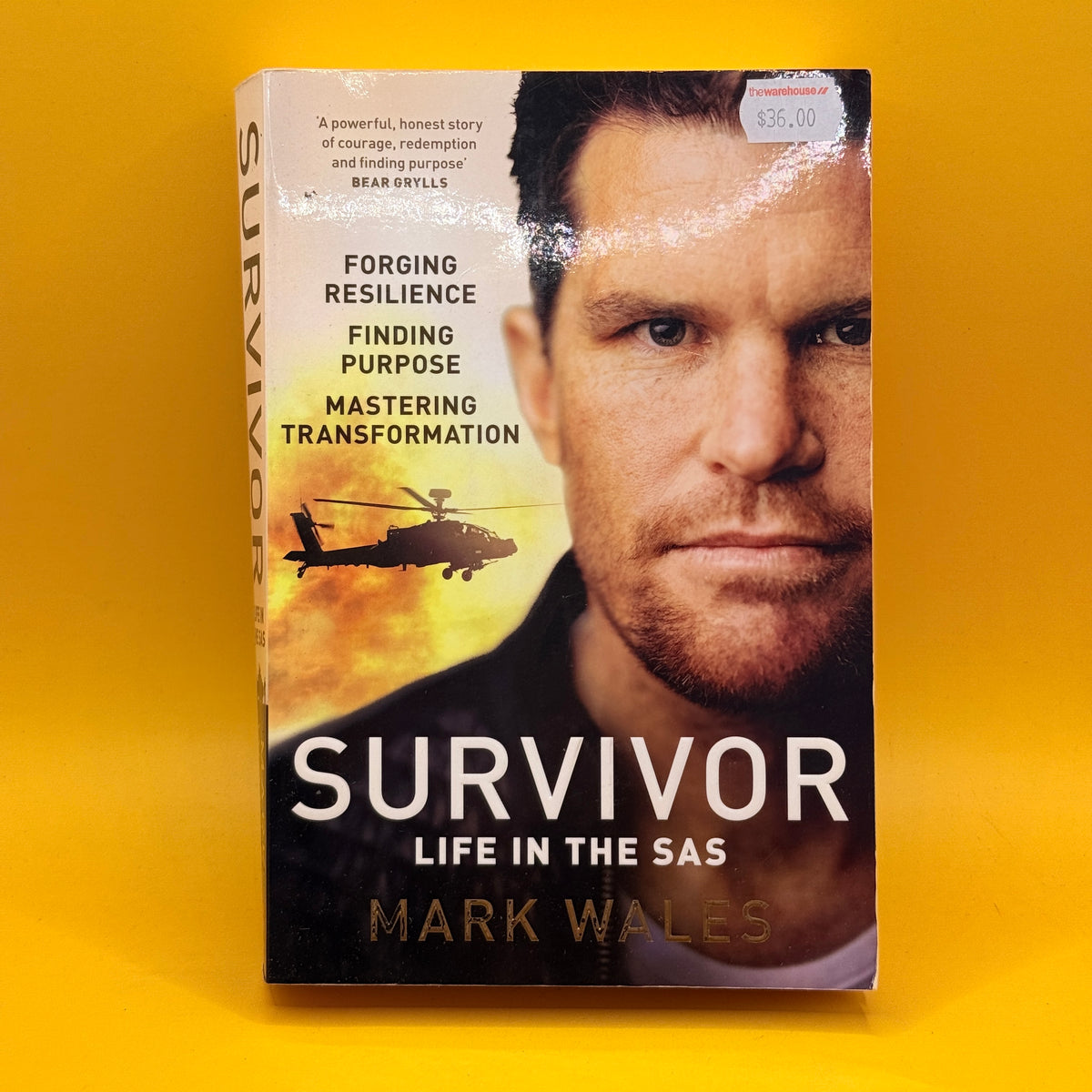 Survivor: Life in the SAS by Mark Wales