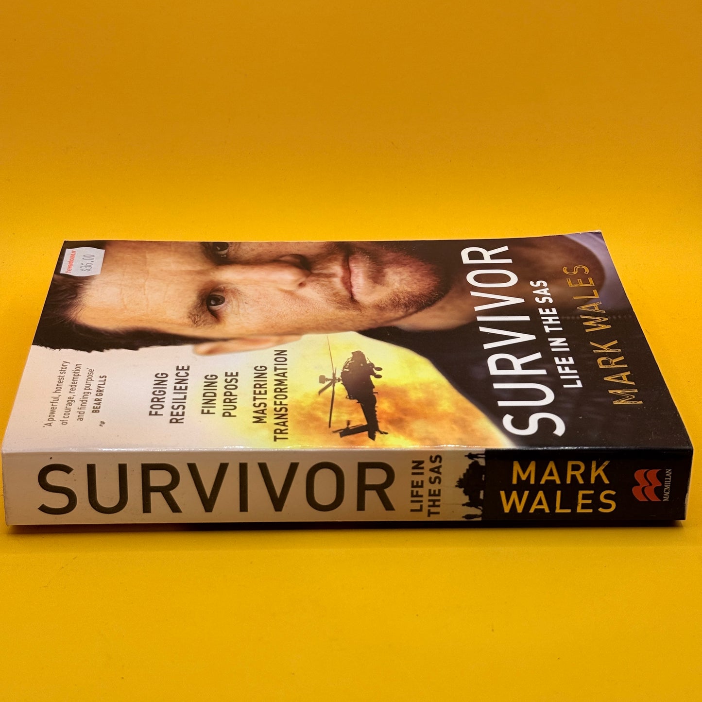 Survivor: Life in the SAS by Mark Wales