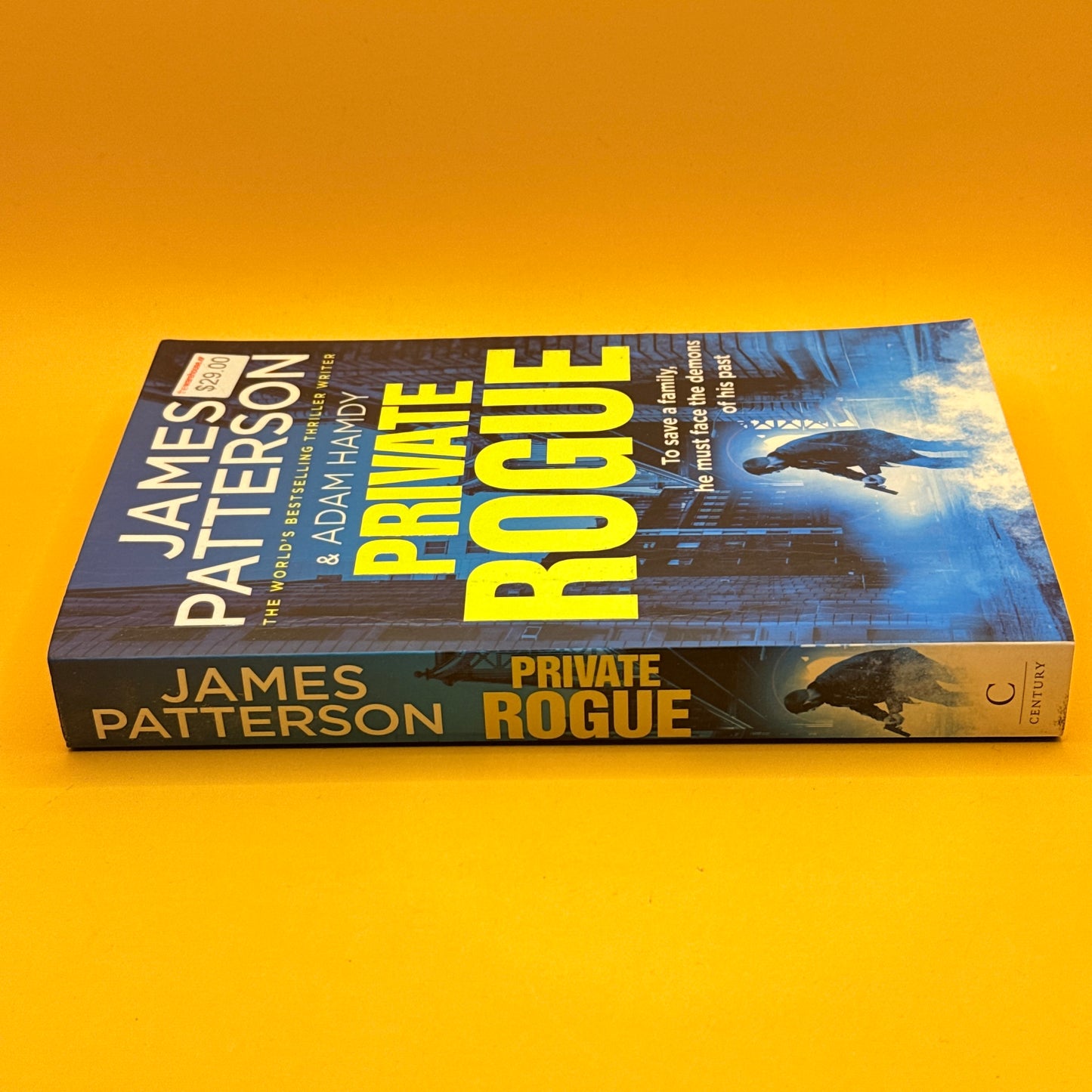 Private Rogue by James Patterson & Adam Hamdy