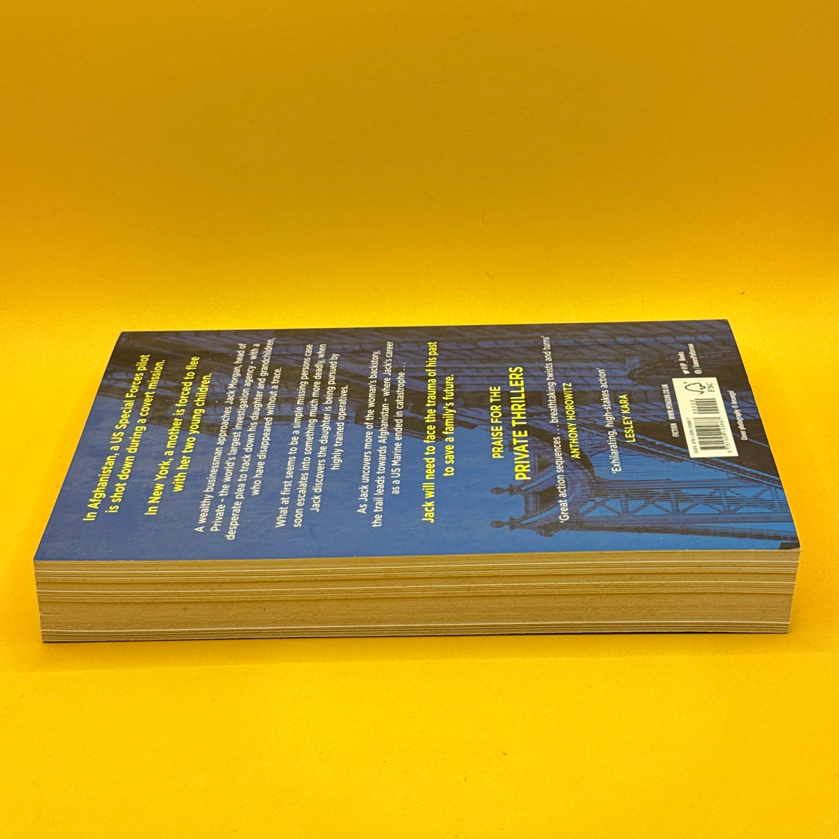 Private Rogue by James Patterson & Adam Hamdy
