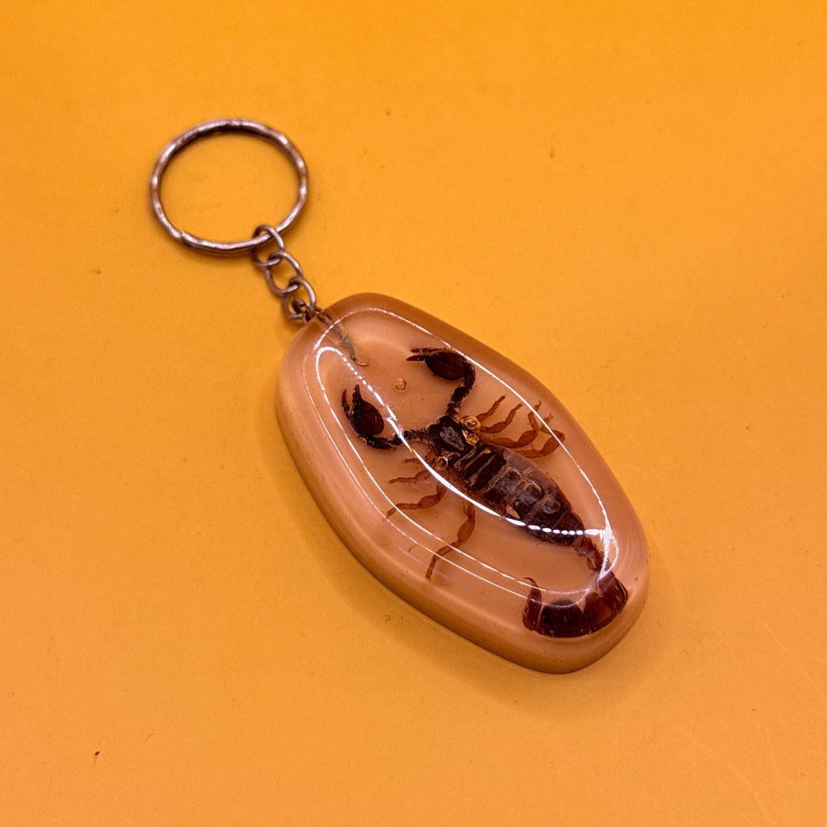Scorpion Specimen Resin Keyring