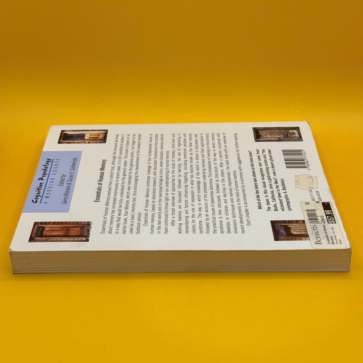 Essentials of Human Memory by Alan D. Baddeley