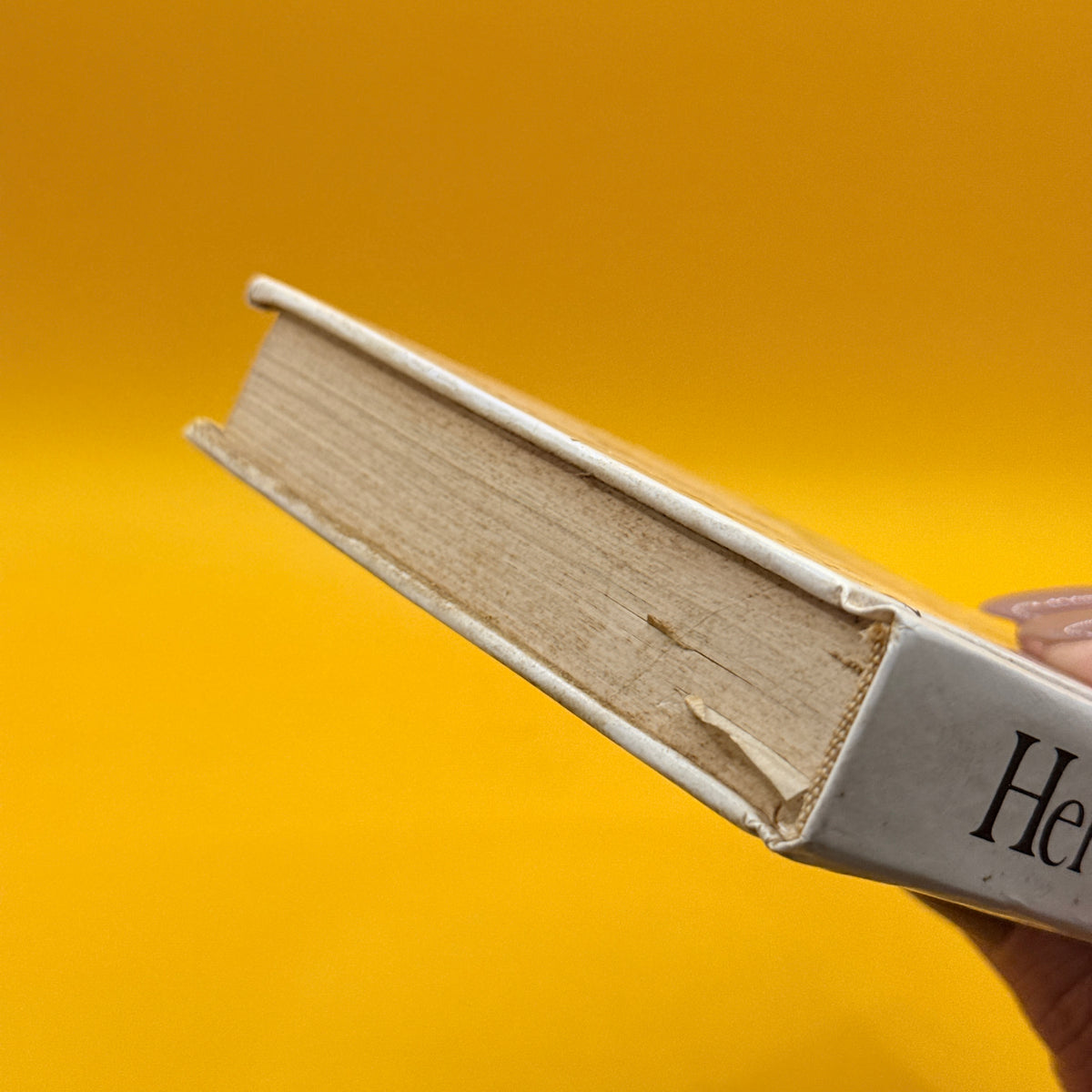 A Concise Guide in Colour: Herbs