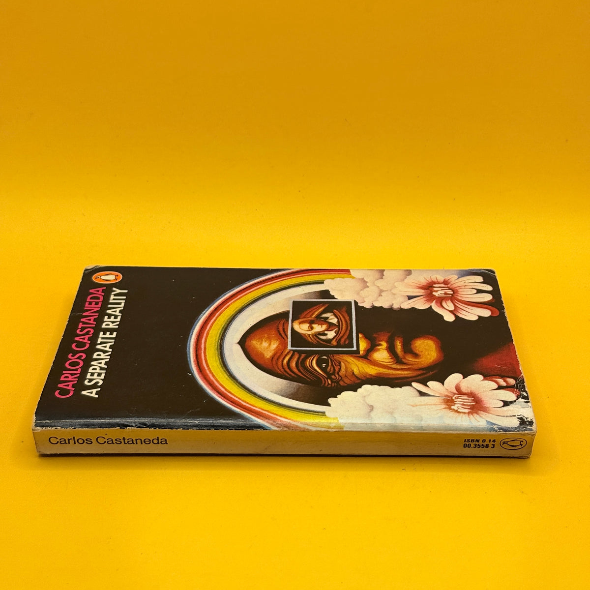 A Separate Reality by Carlos Castaneda