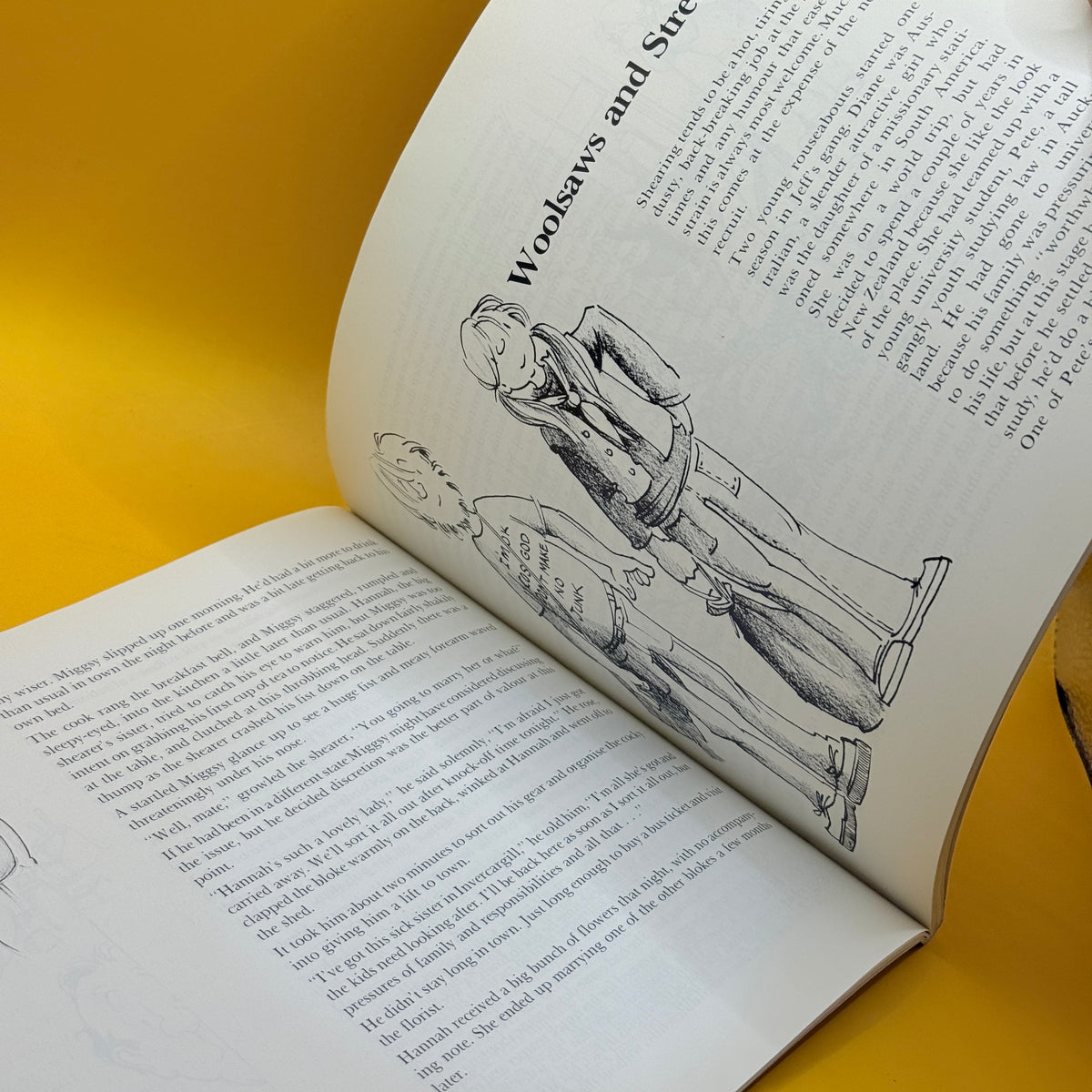 A Bit of a Dag: Tales of a Shearing Gang by Judy Harrison and David Henshaw
