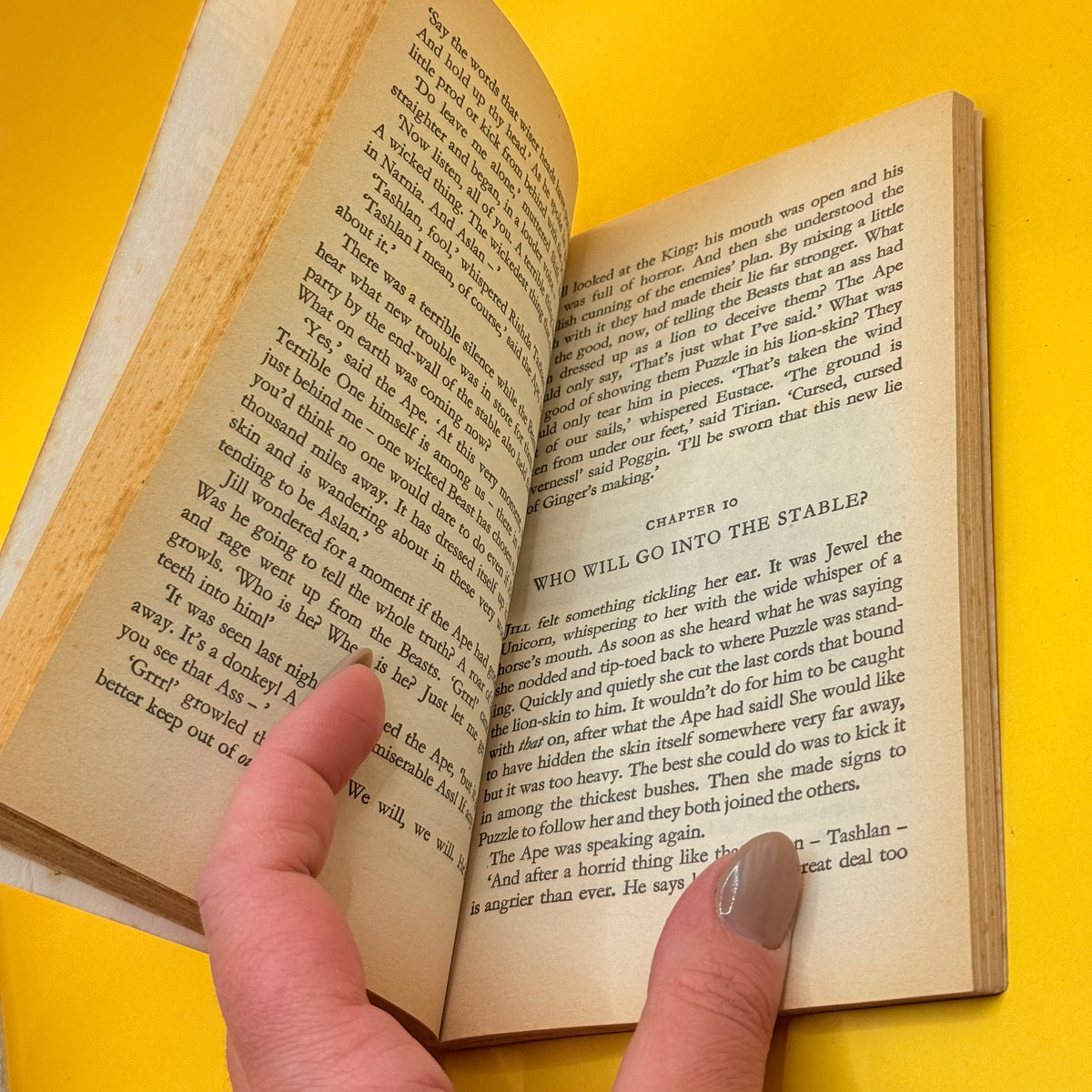 The Last Battle by C. S. Lewis (1985)