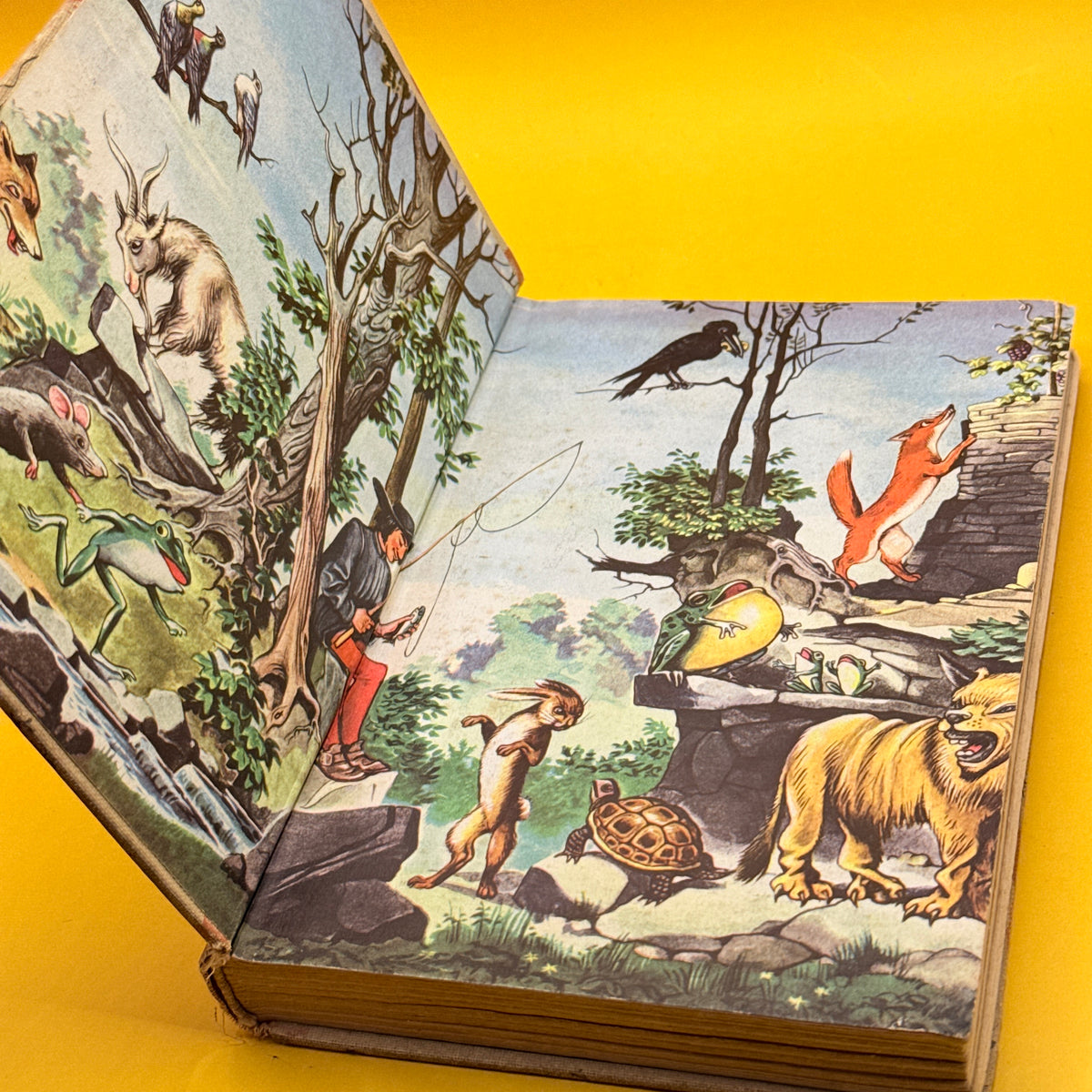 Aesop’s Fables by Aesop, illustrated by Fritz Kredel (1947)