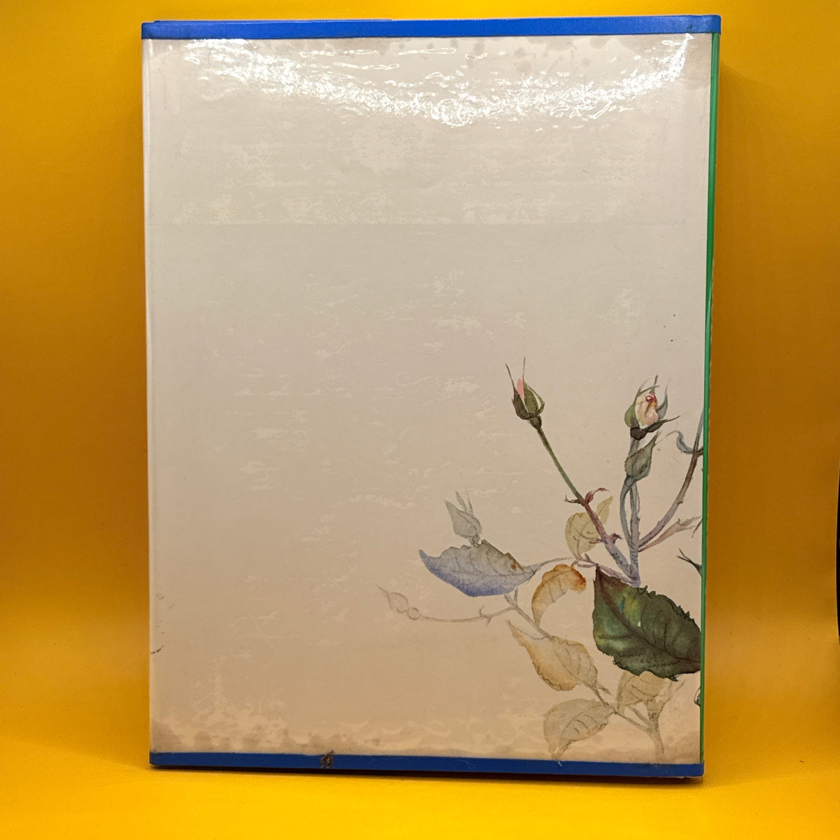 Look to the Rose by Sam McGredy and Joyce Blake (1981)