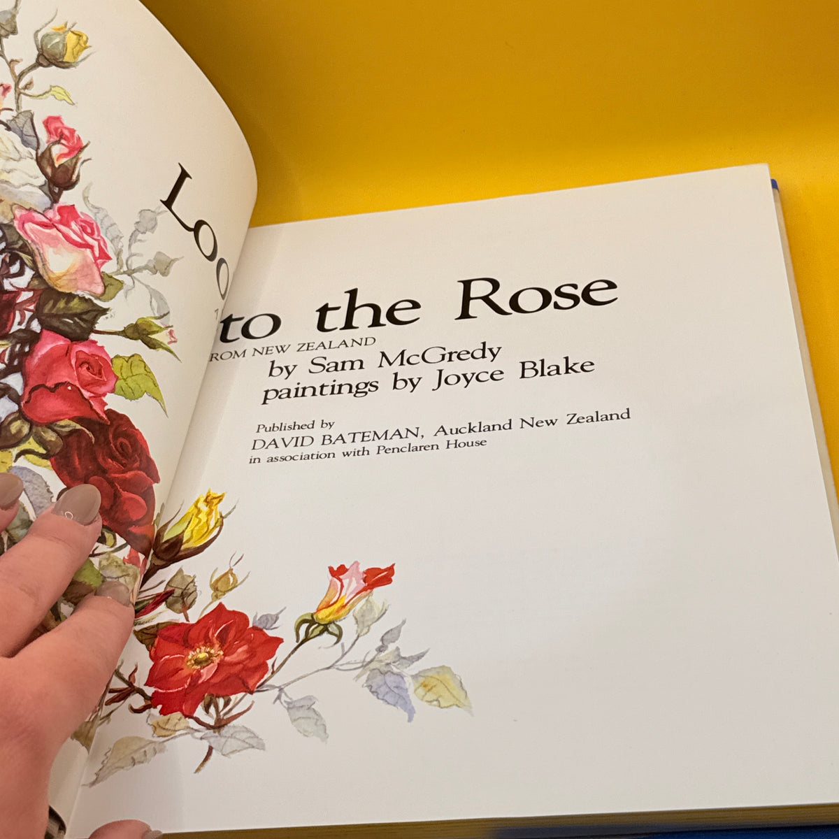 Look to the Rose by Sam McGredy and Joyce Blake (1981)