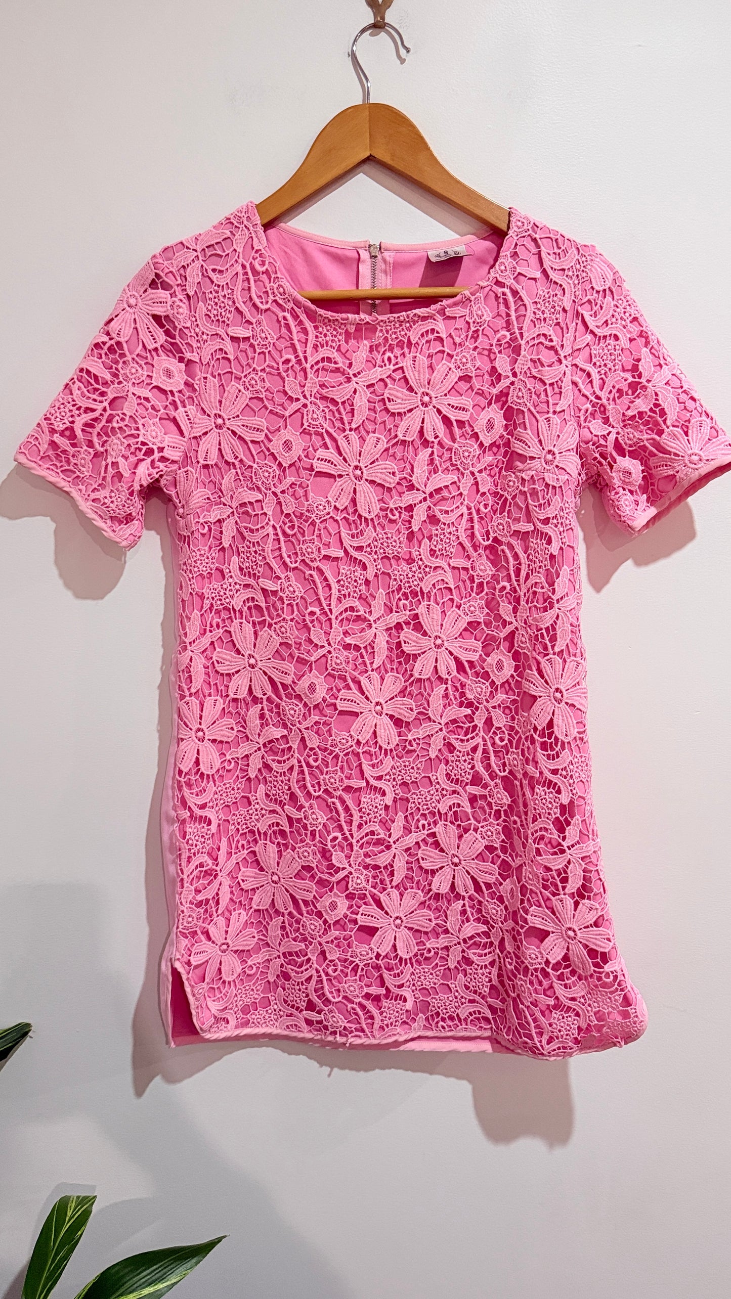 Angel Biba Pink Lace Shift Dress Size 8