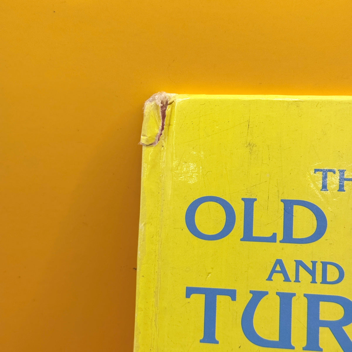 (vintage) The Old Man and the Turnip by Sheena Morey