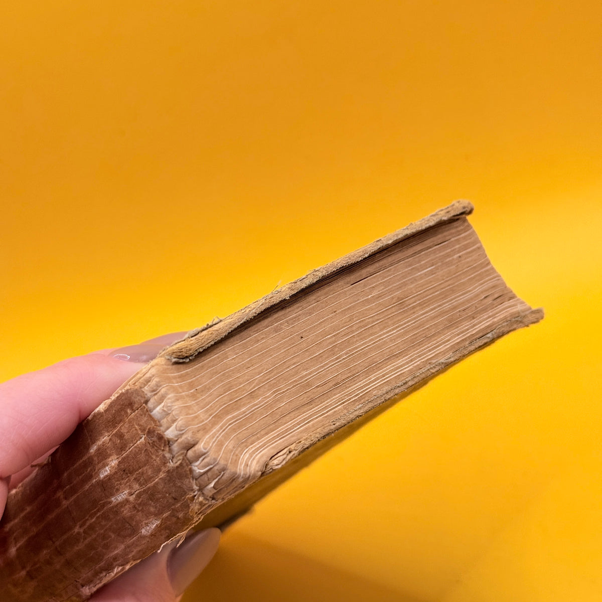 Vintage Standard English Dictionary
