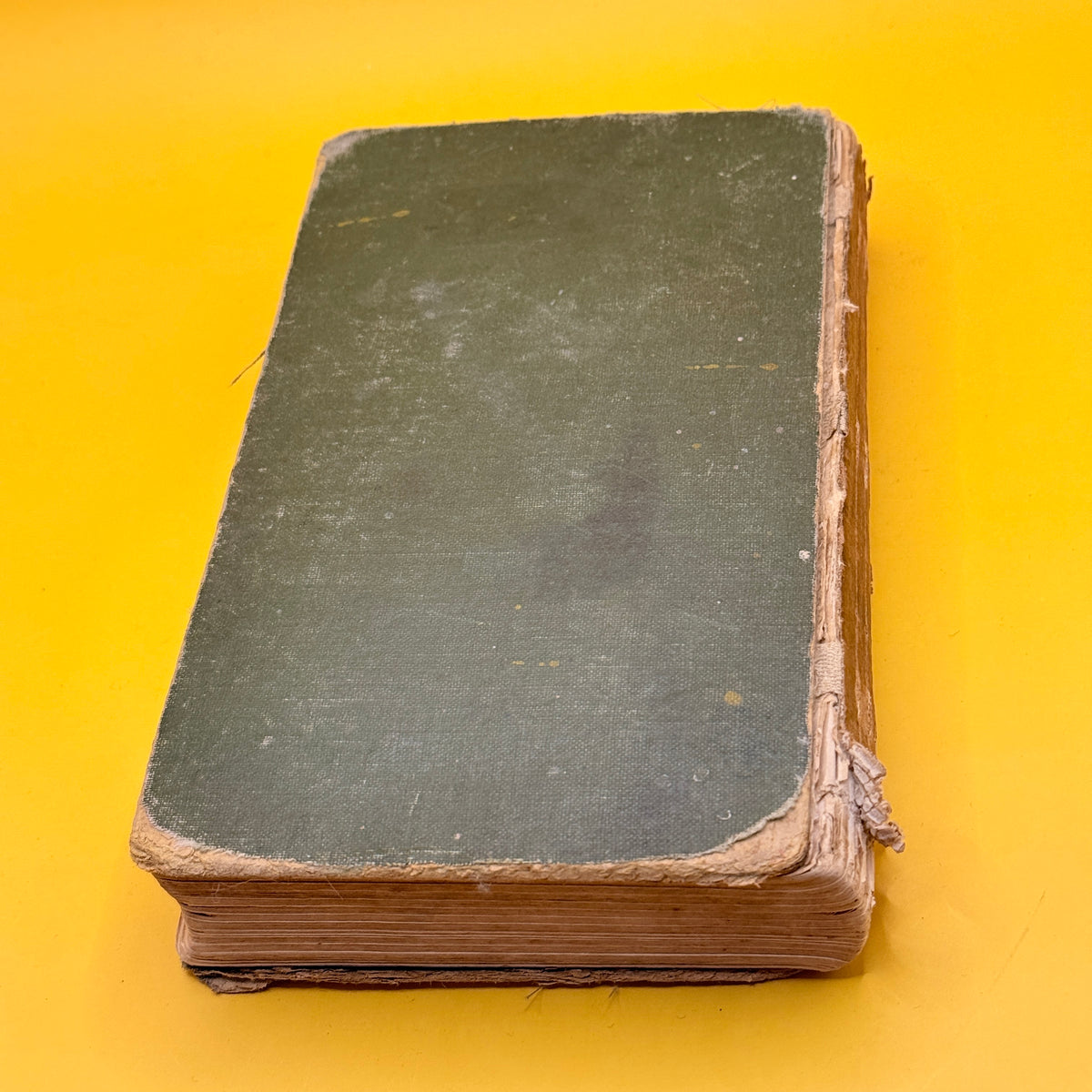 Vintage Standard English Dictionary