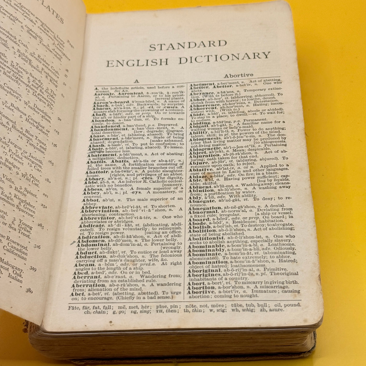Vintage Standard English Dictionary