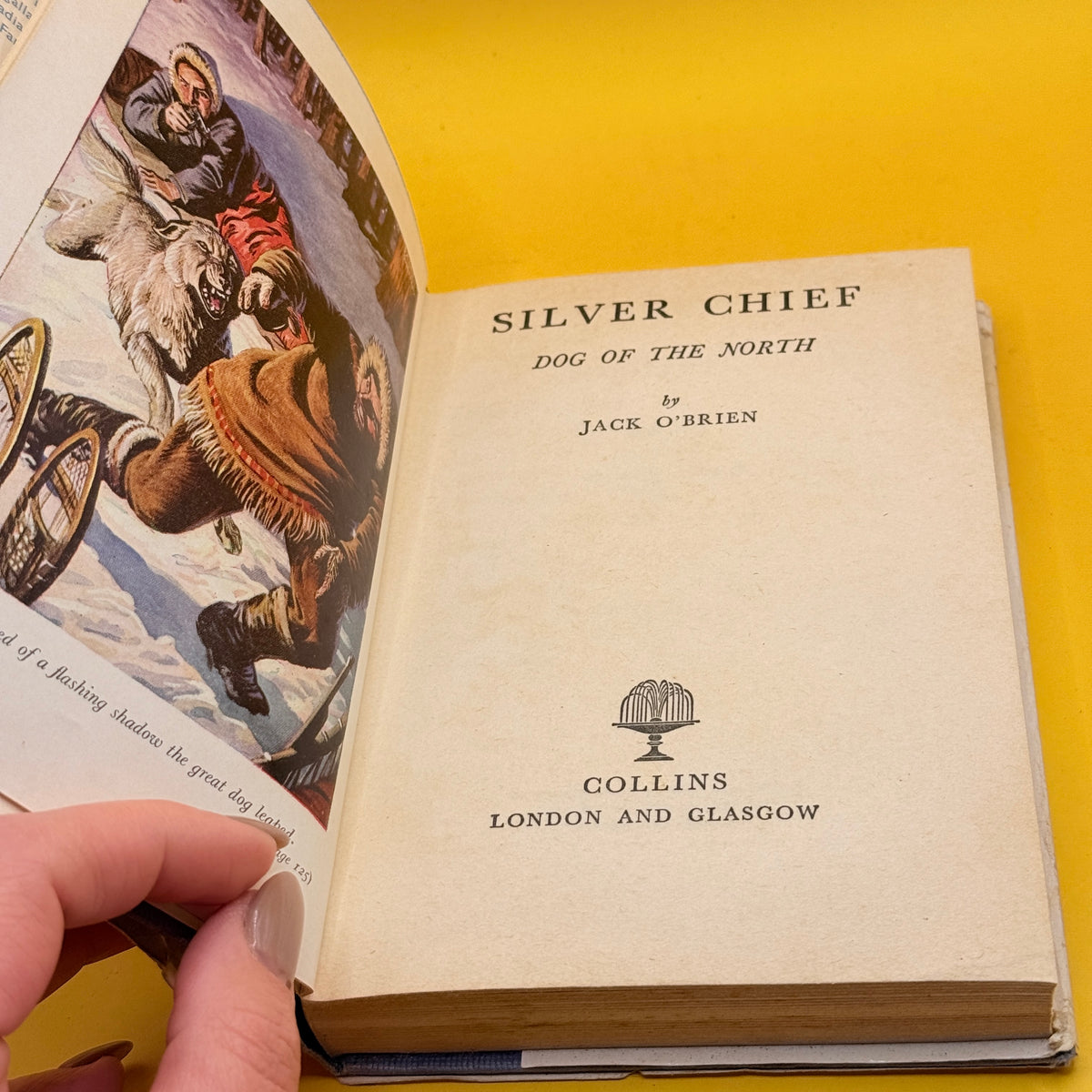 Silver Chief: Dog of the North by Jack O’Brien (1959)