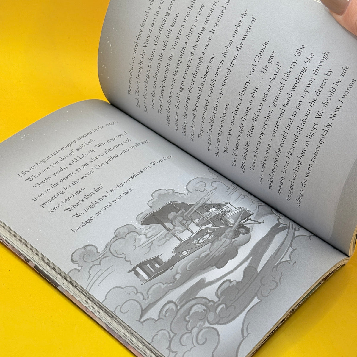 Flying Furballs: Kit-napped by Donovan Bixley
