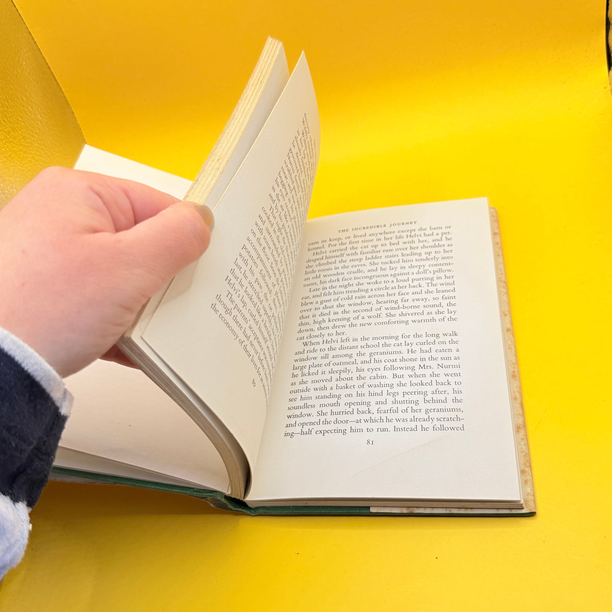 The Incredible Journey by Sheila Burnford (1961)