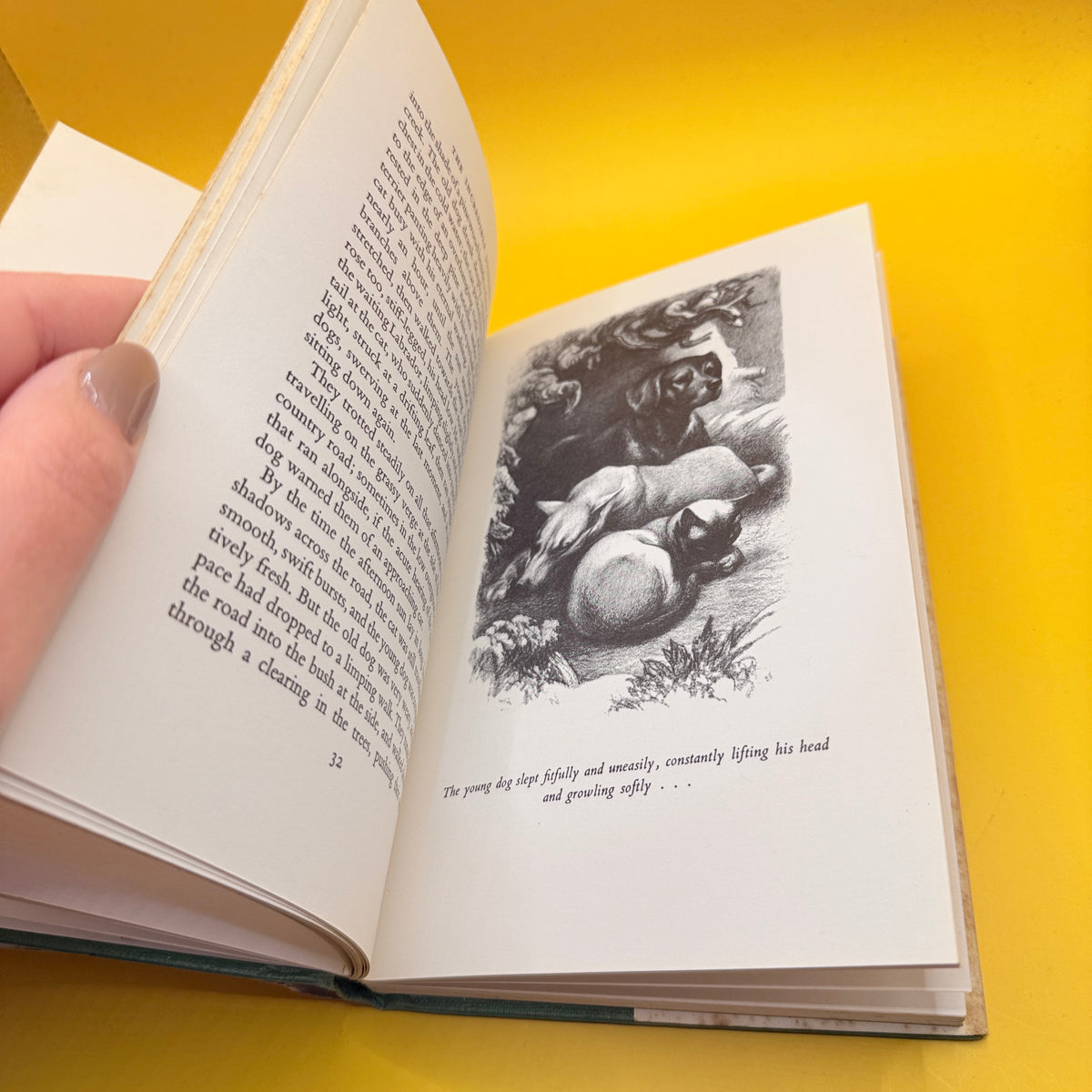 The Incredible Journey by Sheila Burnford (1961)