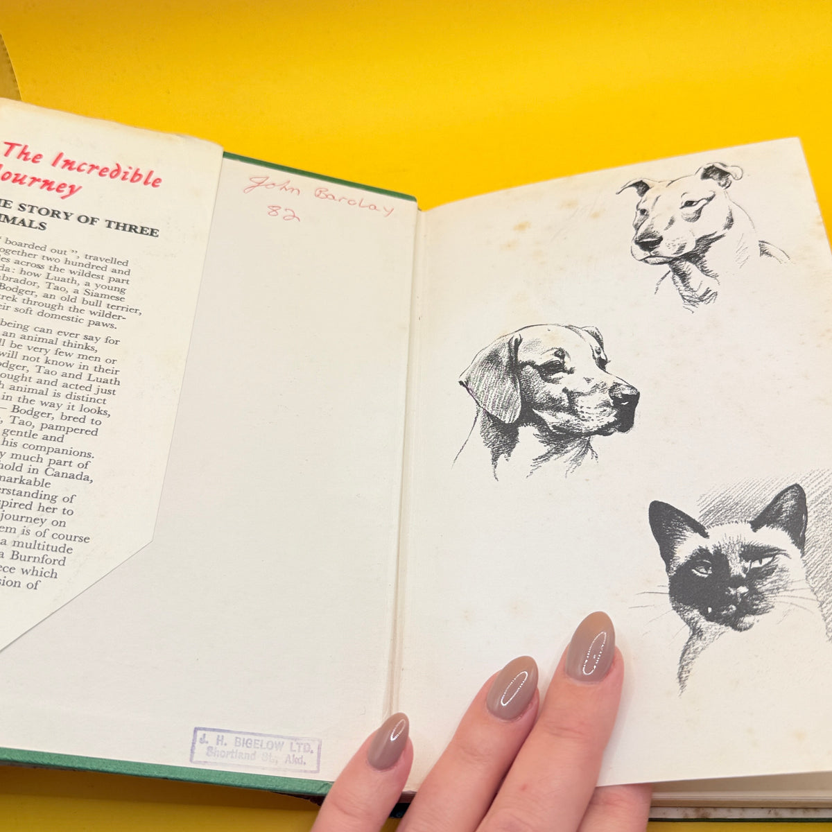The Incredible Journey by Sheila Burnford (1961)