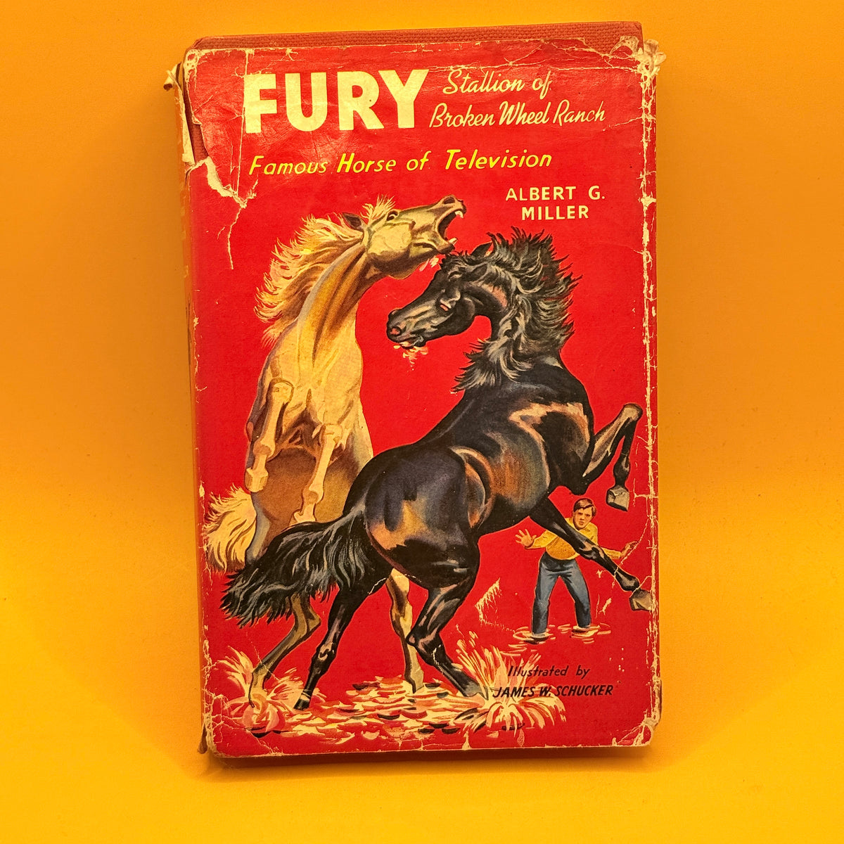Fury: Stallion of Broken Wheel Ranch by Albert G. Miller (1960)