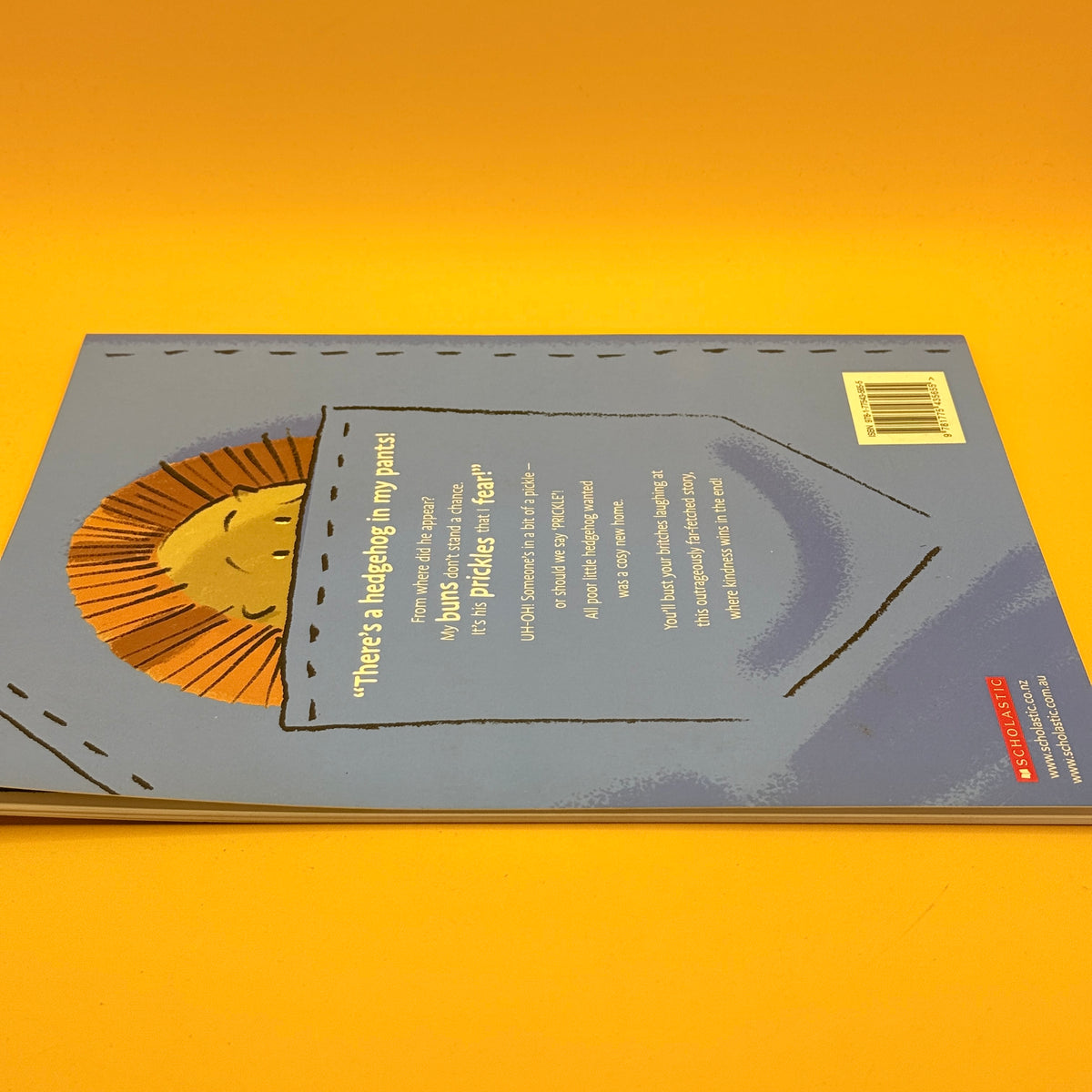 There’s a Hedgehog in My Pants! by Amy Harrop and Ross Kinnaird