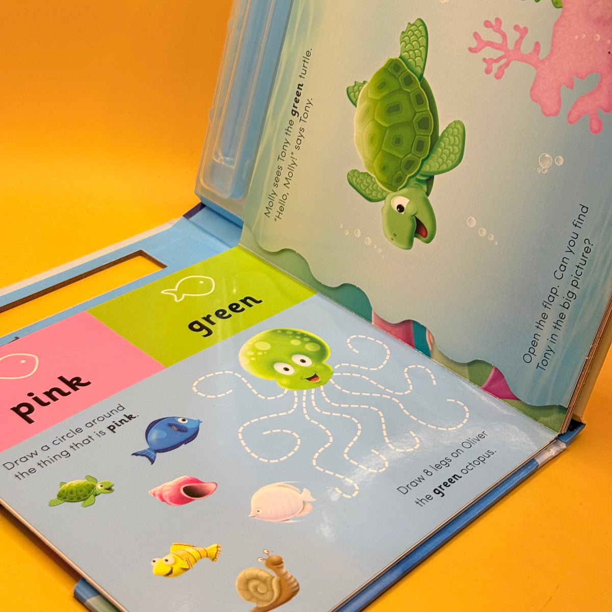 Colours by Tom James (Write and Wipe)