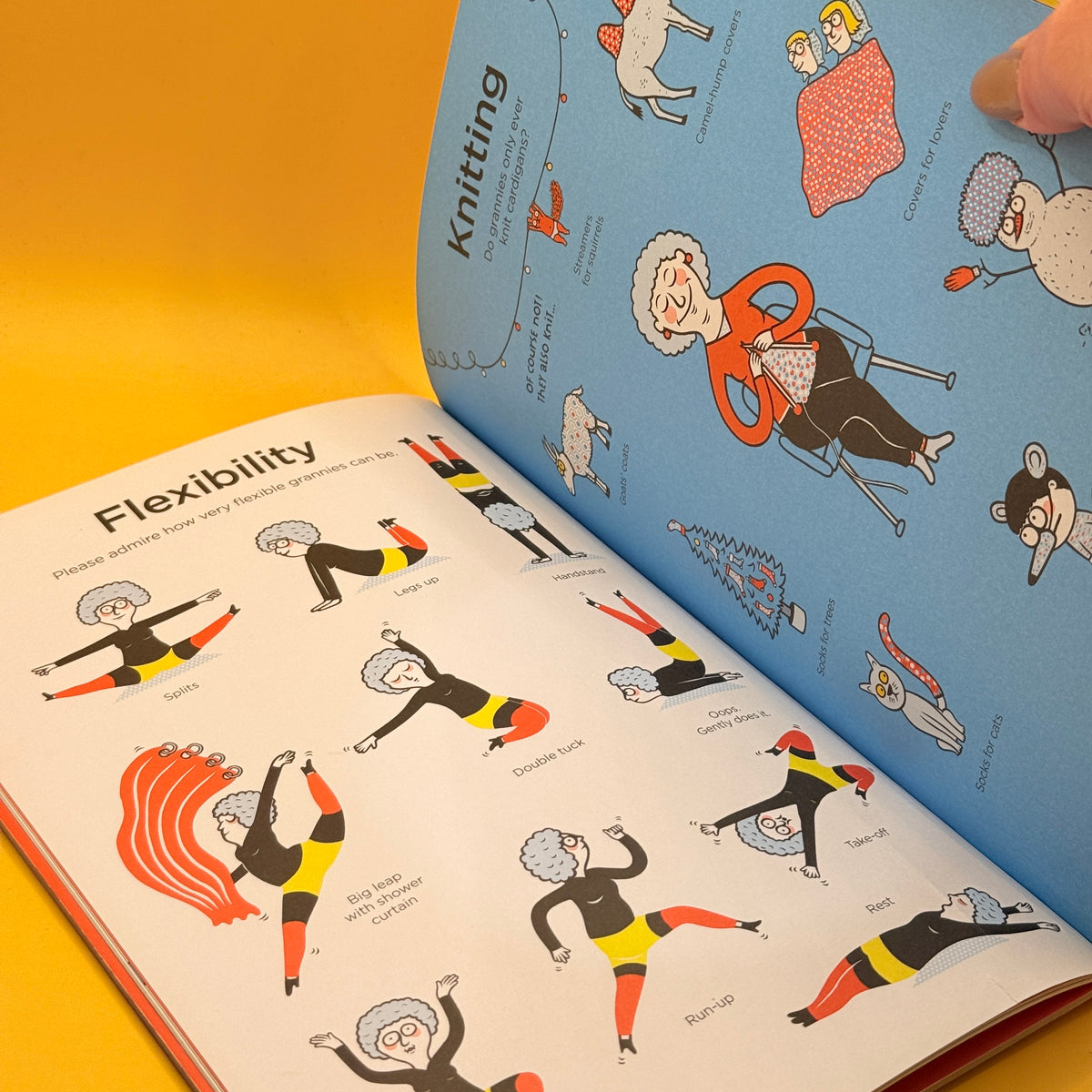 Encyclopedia of Grannies by Eric Veillé