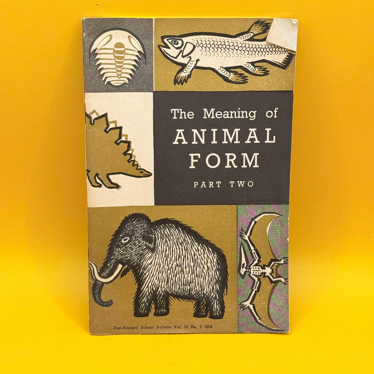 The Meaning of Animal Form Part Two: Change and Continuity by Andrew Packard (1959)
