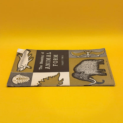 The Meaning of Animal Form Part Two: Change and Continuity by Andrew Packard (1959)